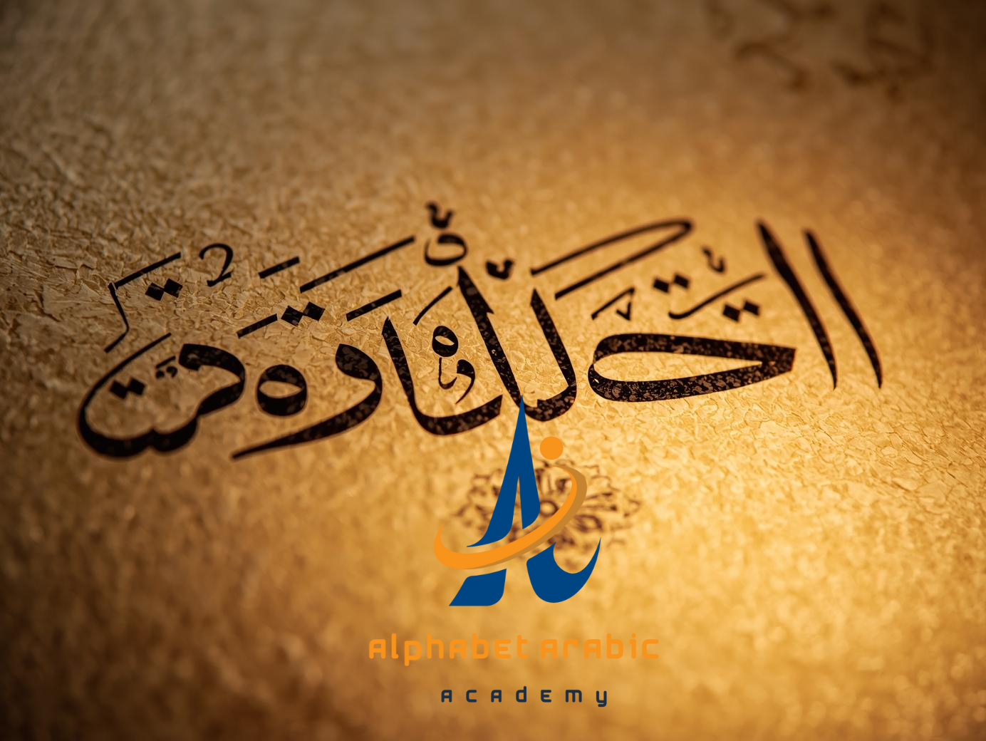 image_title - site_title تصميم بدون عنوان 2025 09 10T203813448