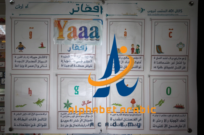 تصميم بدون عنوان 2025 09 09T223622580