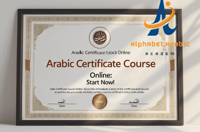 تصميم بدون عنوان 2025 08 25T043515439