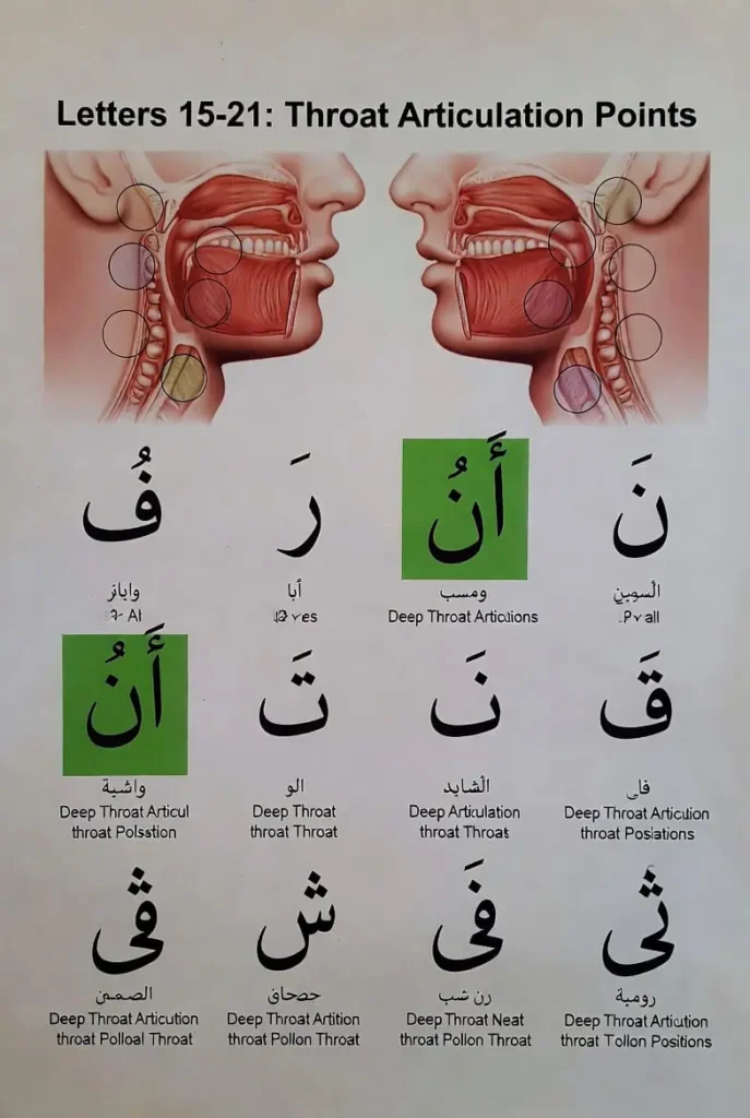 Diagram showing Arabic letters 15–21 and throat articulation points with highlighted examples on both sides of the mouth and labeled terms like 'Deep Throat Articulations' (informative image).