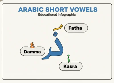 Educational infographic: Arabic short vowels Fatha, Damma, Kasra labeled around a blue Arabic letter.