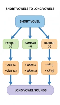 Flow chart showing how three short vowels (Fatha, Damma, Kasrah) combine with Alif, Waw, Ya' to form long vowel sounds.