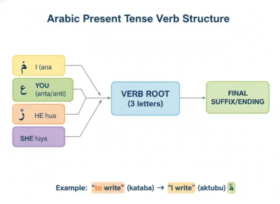 Diagram of Arabic present tense: left four colored boxes for I, you, he, she connect to a three-letter verb root, then add a final suffix/ending. present tense verbs in msa
