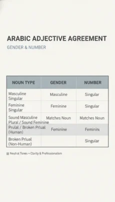 Educational infographic titled Arabic Adjective Agreement showing noun type, gender, and number in a table.