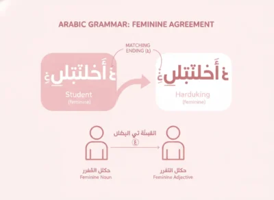 Infographic explaining Arabic feminine adjective agreement in arabic
agreement: noun and adjective pair with matching feminine ending (ة).