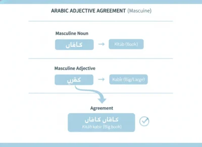 Infographic showing Arabic masculine noun–adjective agreement: kitáb (book) with kabír (big), forming kitáb kabír (Big book).