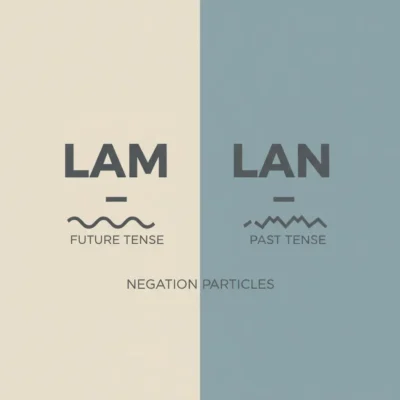 Infographic showing LAM (future tense) and LAN (past tense) contrasted with a negation particles label beneath the divider. negation in modern standard arabic
