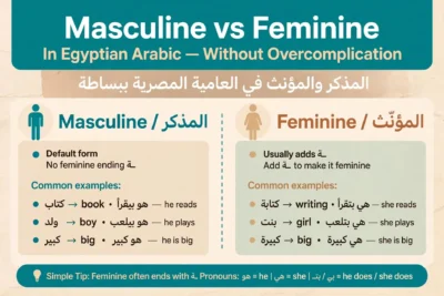 masculine feminine in egyptian arabic