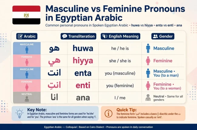 Masculine vs Feminine in Egyptian Arabic Without Overcomplication