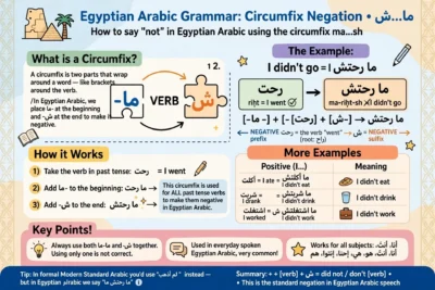 negation in egyptian arabic